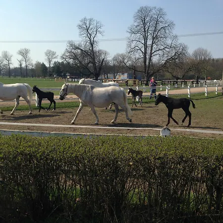 Penzion Chalupa Semin *