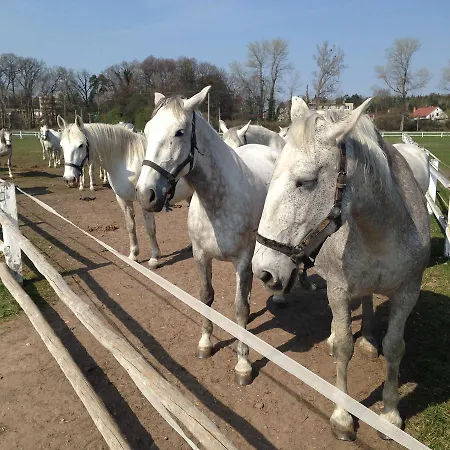 Holiday home Penzion Chalupa Semin